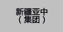 新疆亚中集团